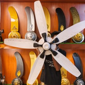 Modern Energy Saving Ceiling Fan