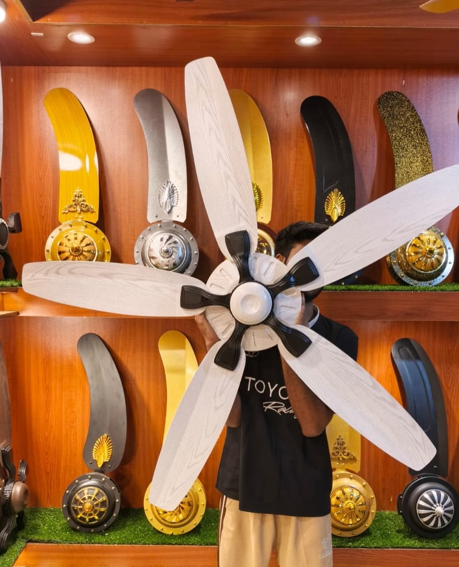 Modern Energy Saving Ceiling Fan
